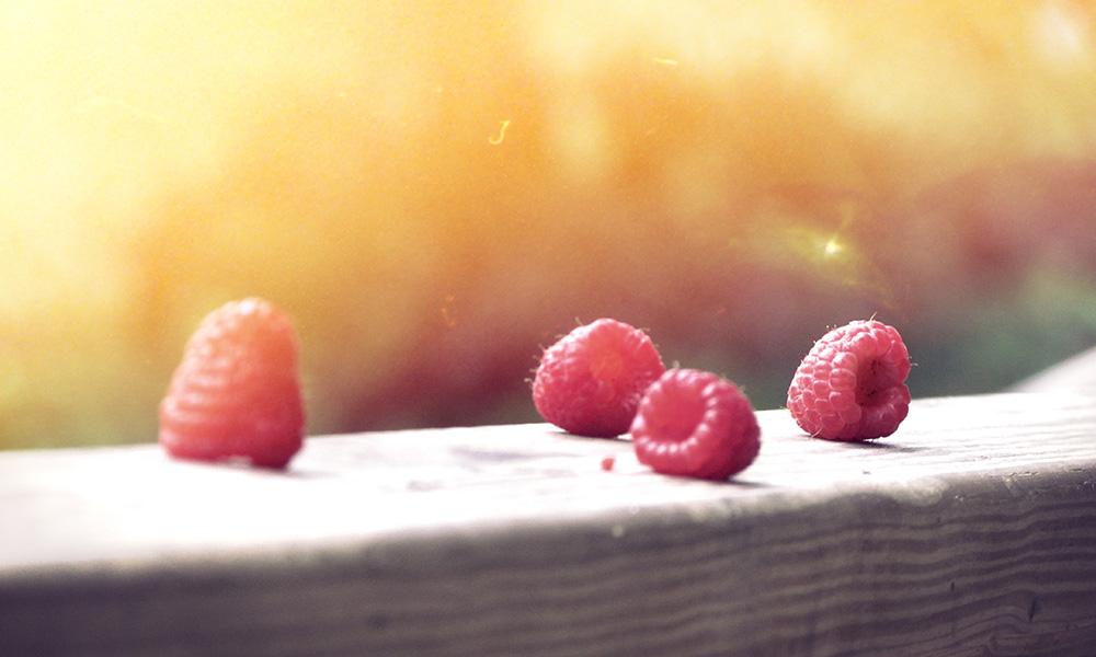 Berries Berries